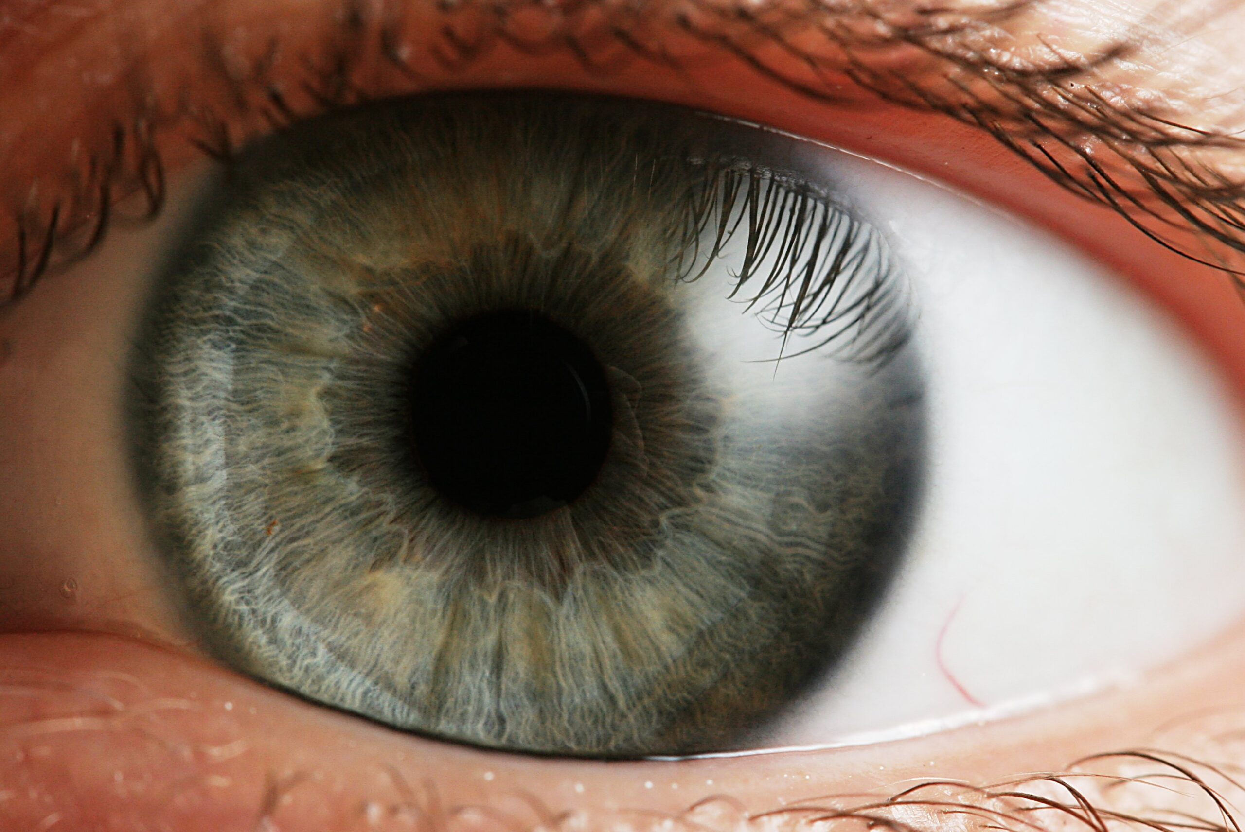Gros plan sur l'iris et la pupille d'un œil