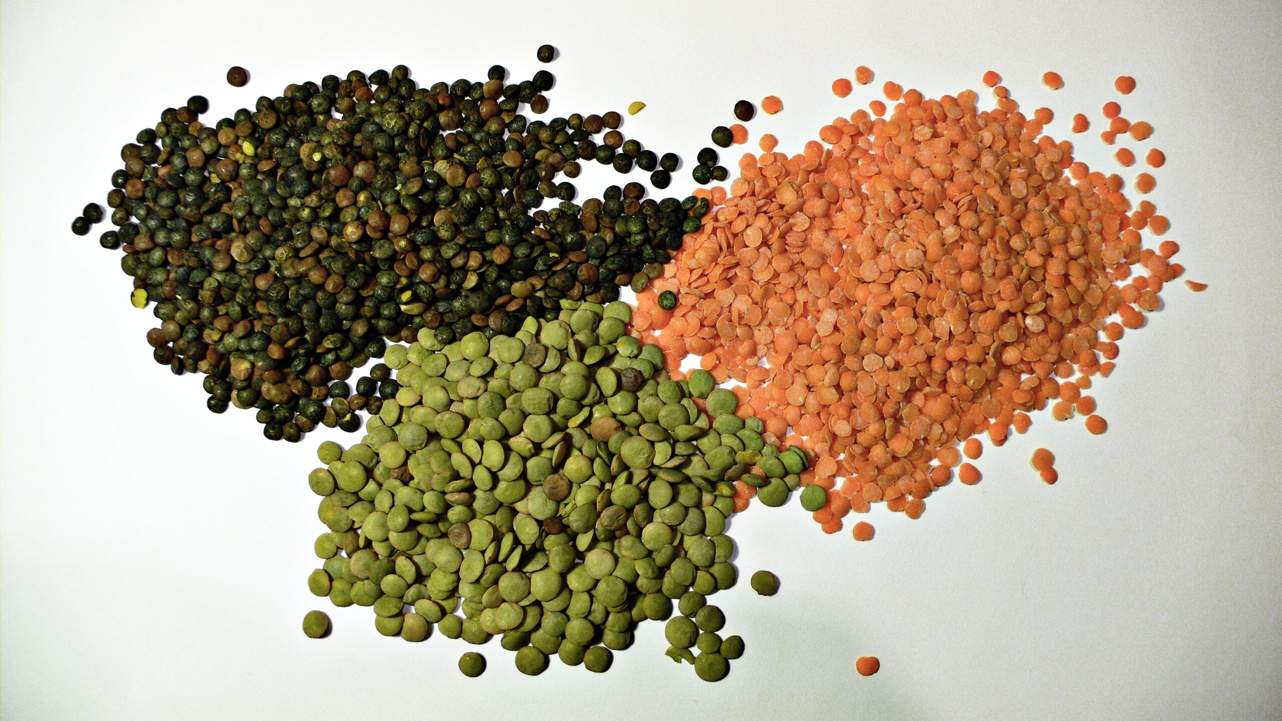 Trois variétés de lentilles sèches, aliment riche en fibres souvent recommandé pour le transit et le confort