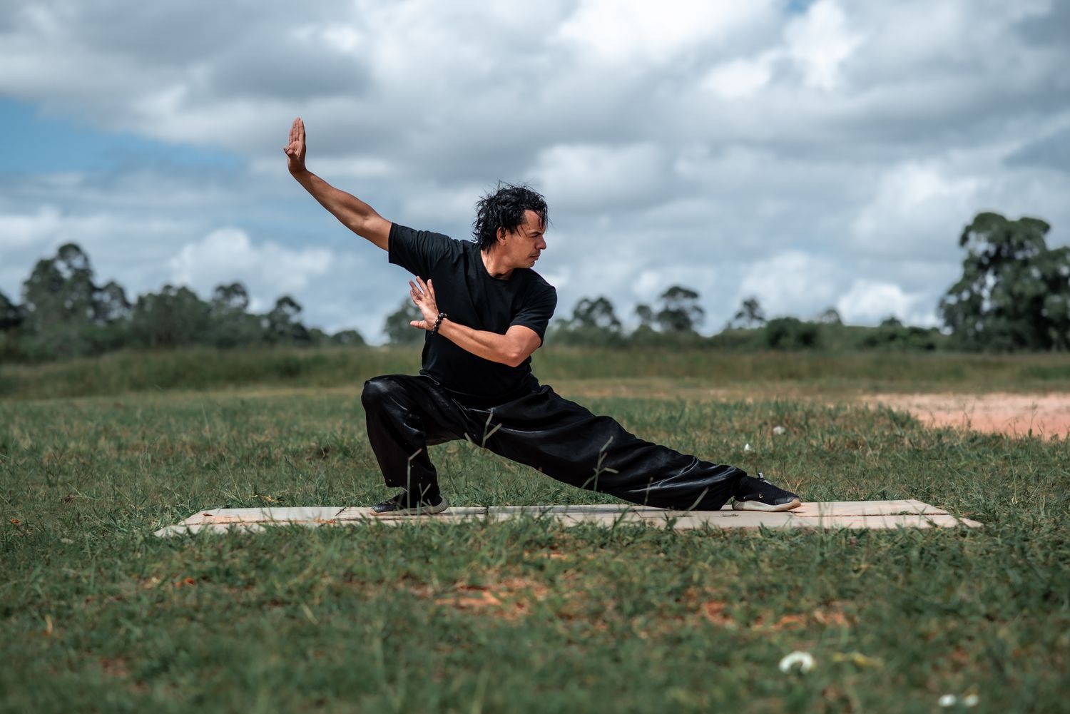 Pratique du tai-chi