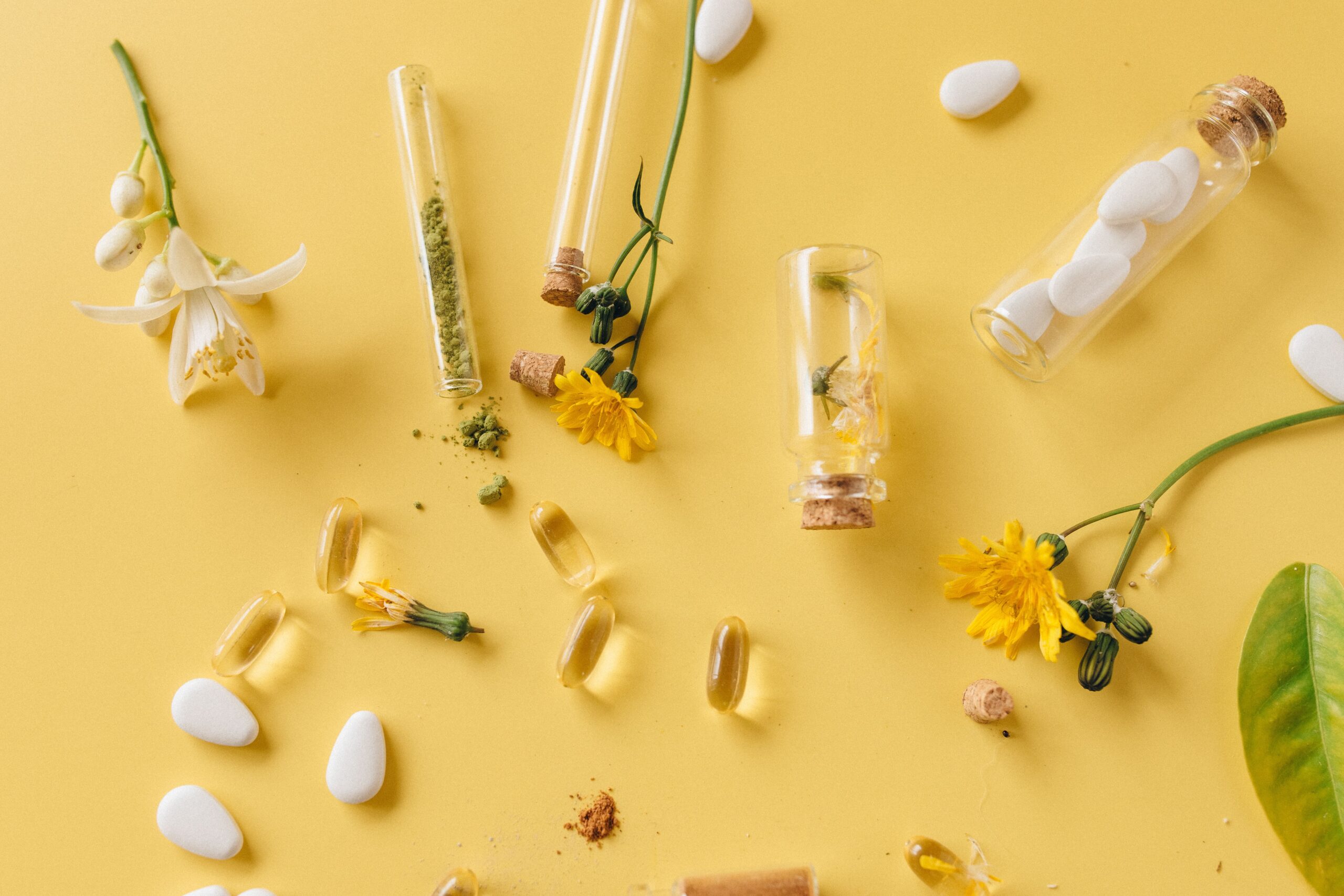 Compléments à base de plantes et gélules